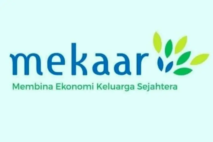 Cara Pengajuan Pinjaman di PNM Mekaar Plus dan Pribadi