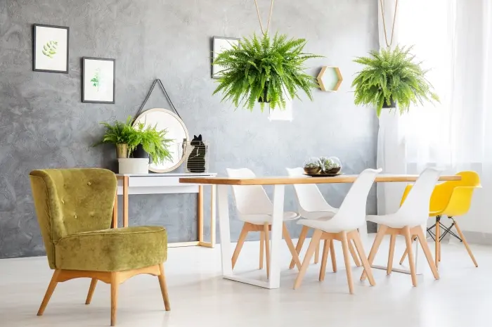 Sentuhan Hijau dengan Tanaman Hias