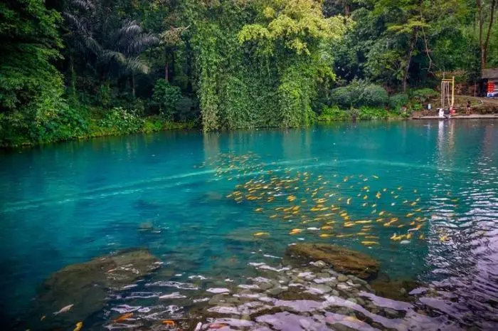 Situ Cipanten Majalengka, Tempat Wisata dengan Nuansa Alami yang Membuat Pikiran Lebih Tenang